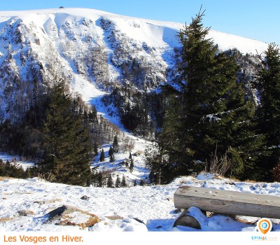 Quand visiter les Vosges ? Quand visiter les Vosges ?